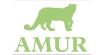 Logo for Amur Equipment Finance